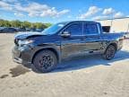 RIDGELINE