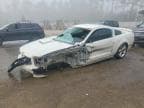 MUSTANG