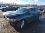 RLX