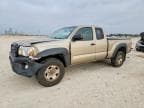 TACOMA