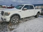 F-150