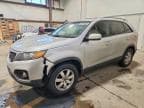 SORENTO