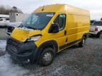 PROMASTER