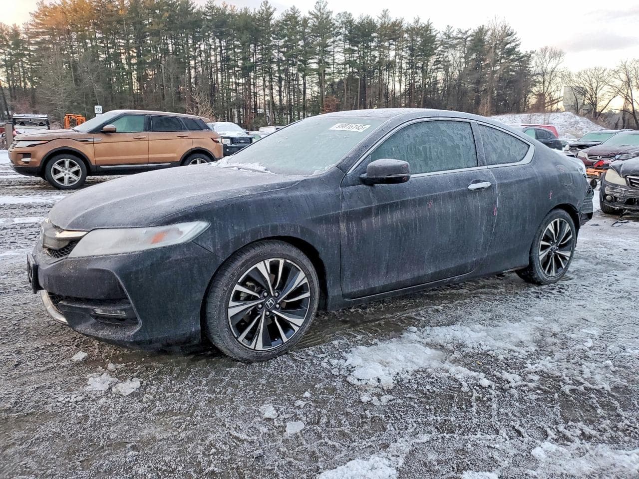 ACCORD