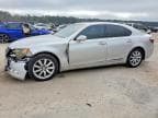 LS460