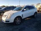 SRX