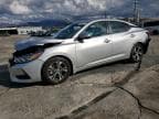 SENTRA