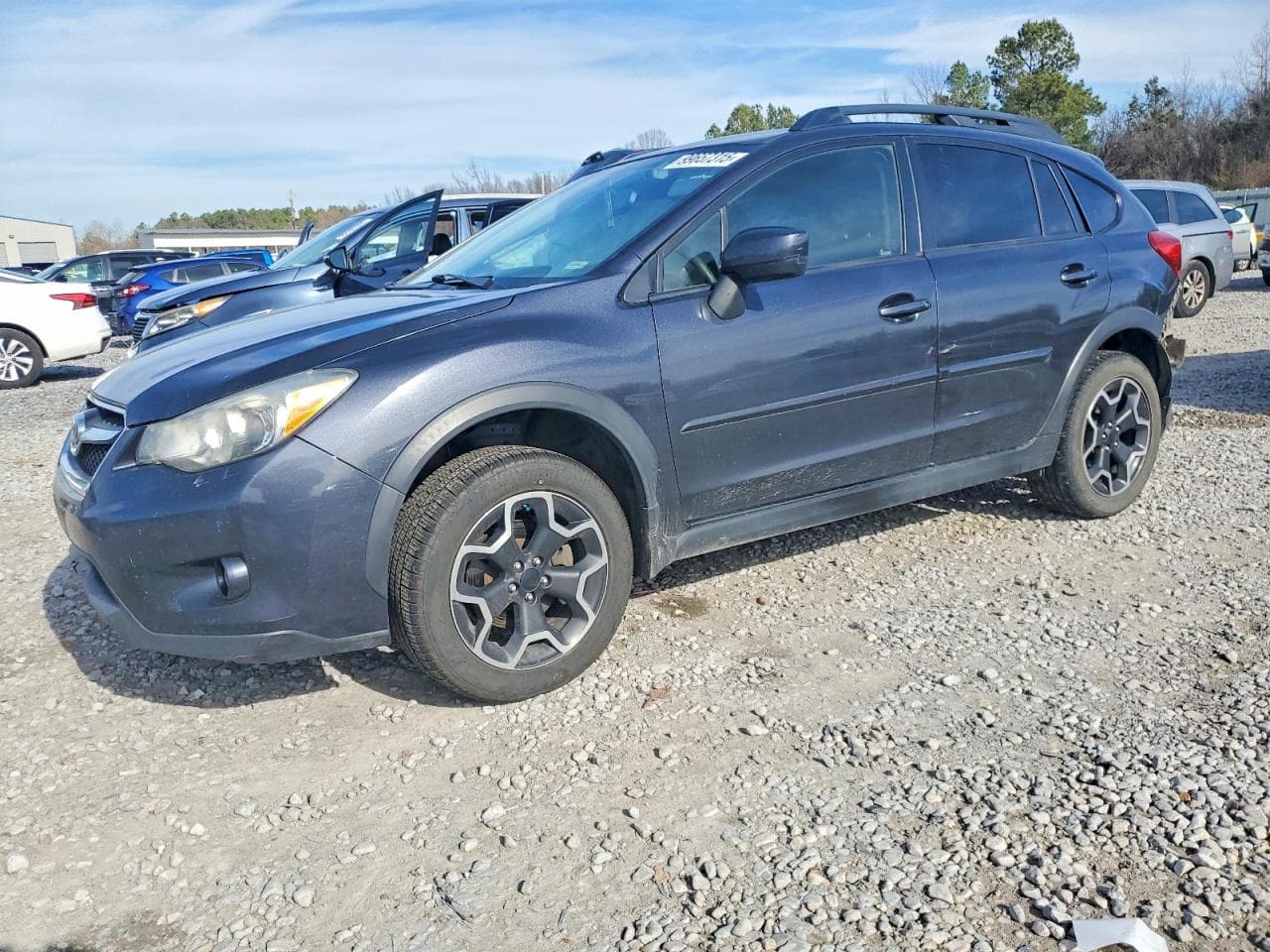 XV