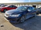 ACCORD