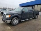 F-150