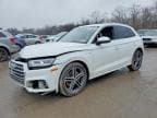 SQ5