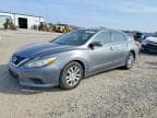 ALTIMA
