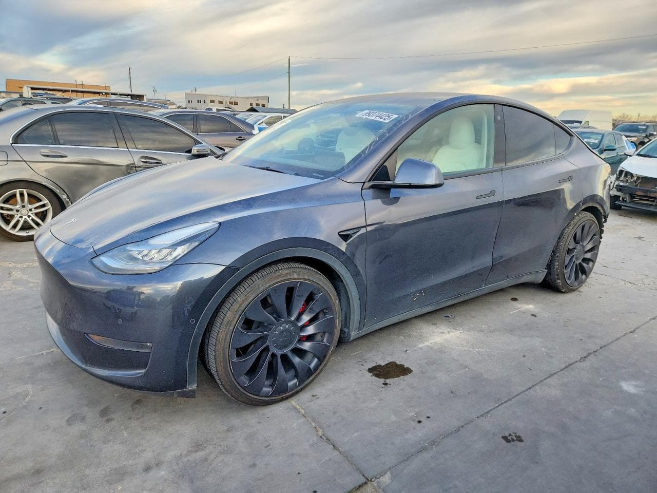 MODEL Y