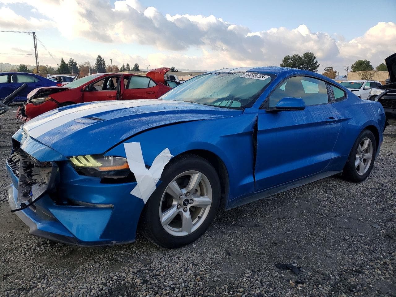 MUSTANG