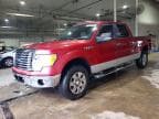 F-150