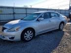 ALTIMA