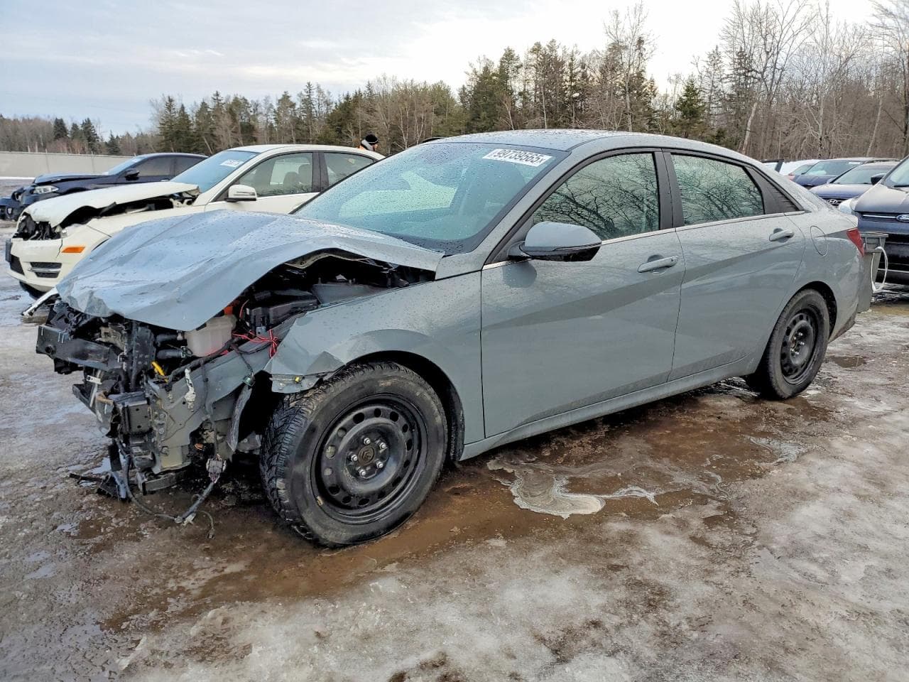 ELANTRA