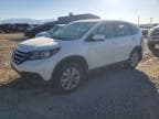 CRV