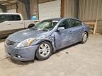 ALTIMA