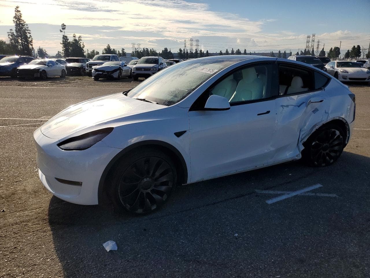 MODEL Y