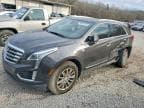 XT5