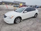 ALTIMA