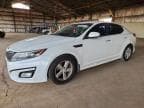 OPTIMA