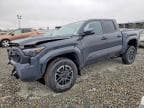 TACOMA