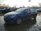 SONATA