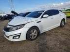 OPTIMA