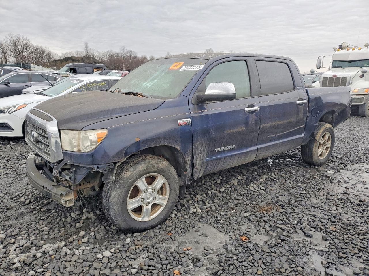 TUNDRA