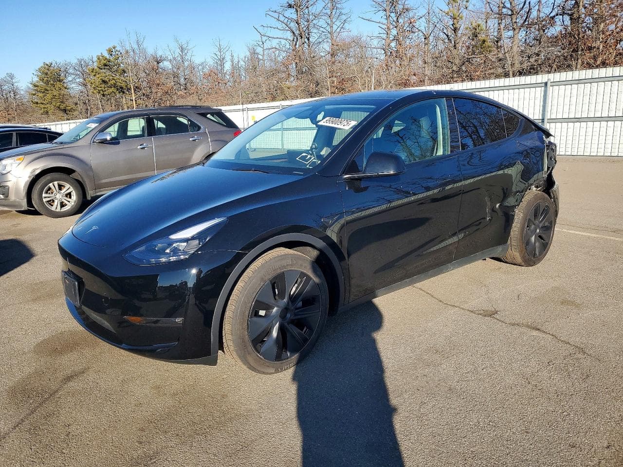 MODEL Y
