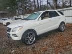 M-CLASS