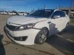 OPTIMA