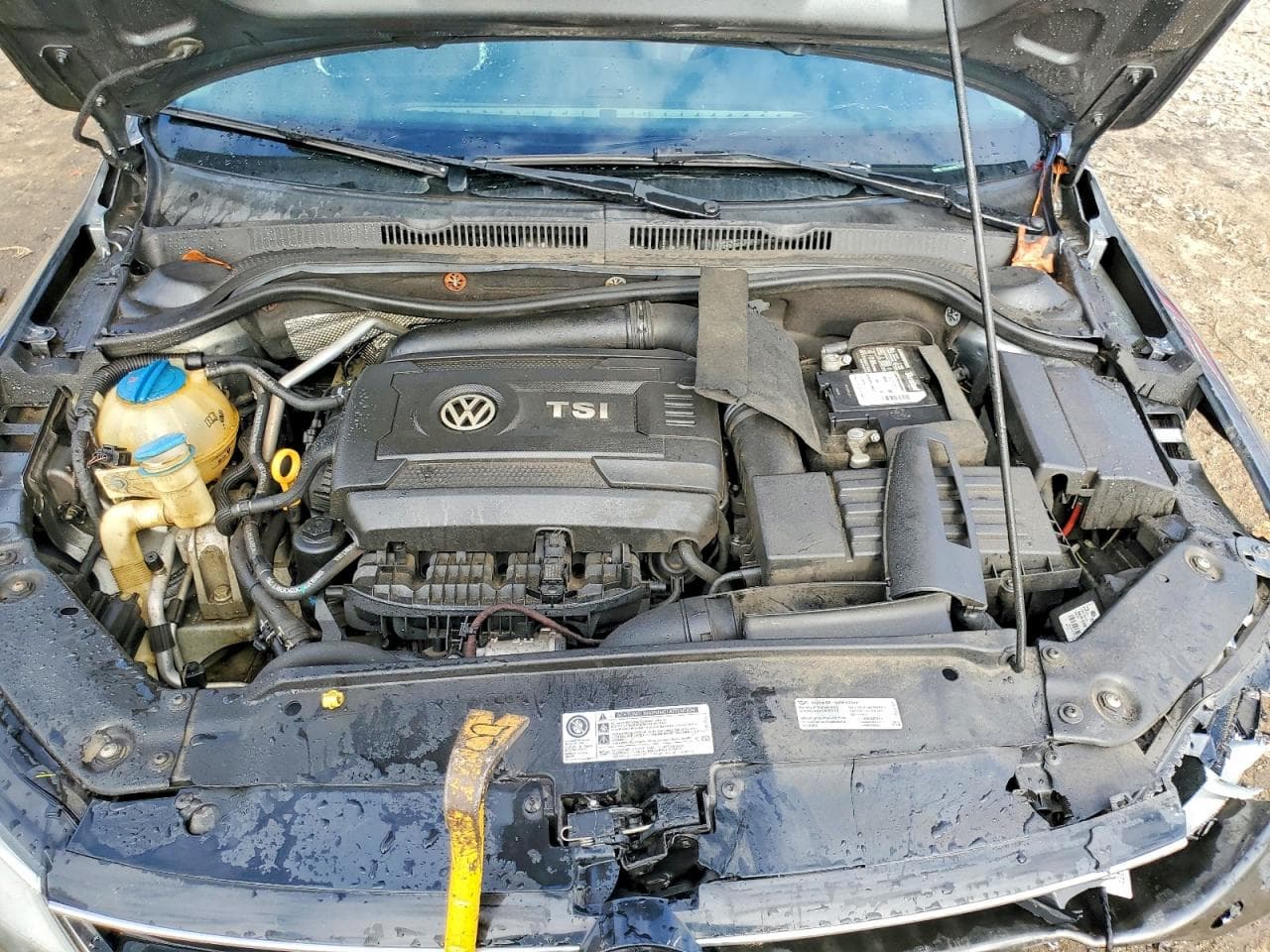 Foto 11