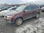 SORENTO