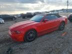 MUSTANG