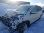CRV