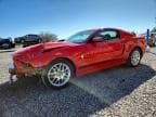 MUSTANG