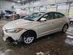ELANTRA
