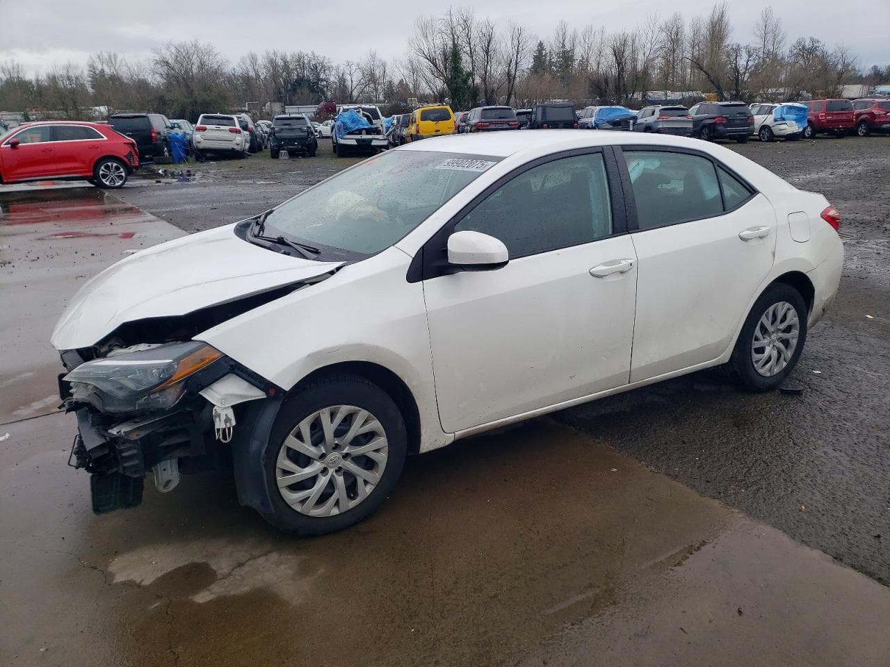 COROLLA