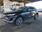 VENZA