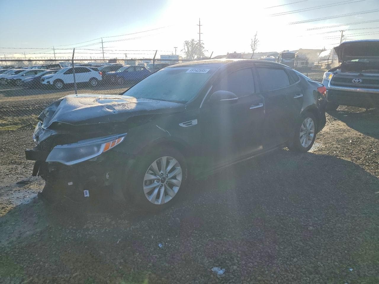 OPTIMA