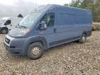 PROMASTER