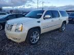ESCALADE