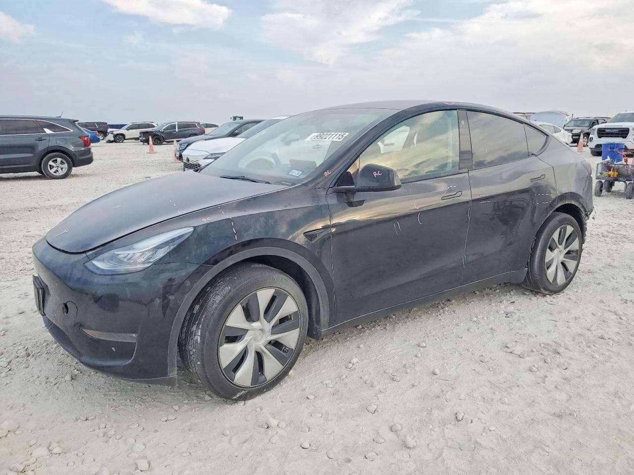 MODEL Y
