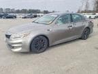 OPTIMA