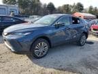 VENZA