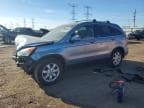 CRV
