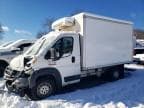 PROMASTER